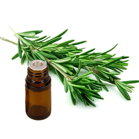 رزماری , خواص رزماری , روغن رزماری