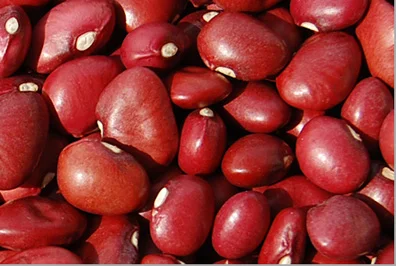 ررژیم غذایی سامندان , فشار خون بالا 