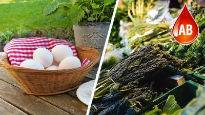 رژیم غذایی مناسب گروه های خونی مختلف, رژیم گروه خونی o