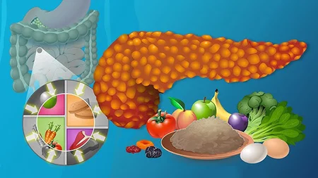 سم زدایی پانکراس, رژیم غذایی سم زدایی پانکراس