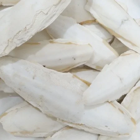 خواص کف دریا
