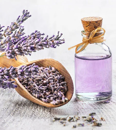 مضرات روغن اسطوخودوس, روغن اسطوخودوس برای مو, فواید روغن اسطوخودوس برای مو