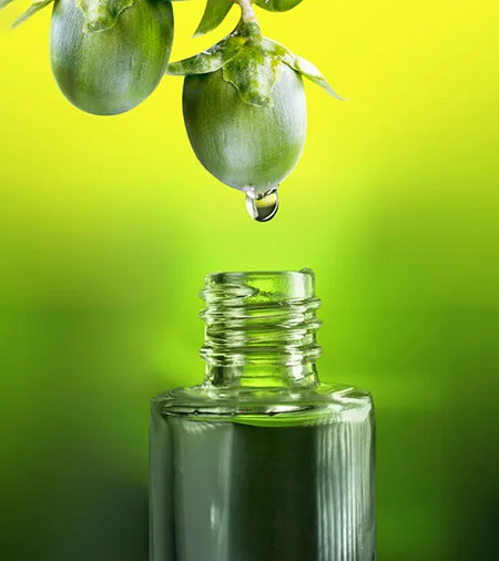 سرم ضد چروک جوجوبا,فواید روغن جوجوبا,سرم ضد پیری جوجوبا