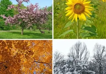 مراقبت از پوست در فصل‌های مختلف سال