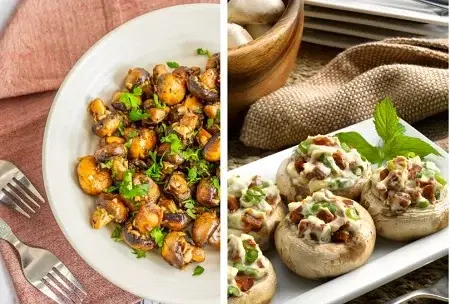 دستور تهیه 8 نوع غذای رژیمی با قارچ خوشمزه و سالم