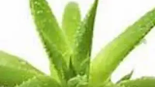از بین بردن لکه های قهوه ای روی پوست