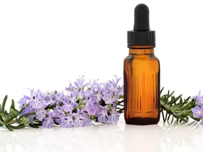 آشنایی با خواص روغن رزماری برای زیبایی