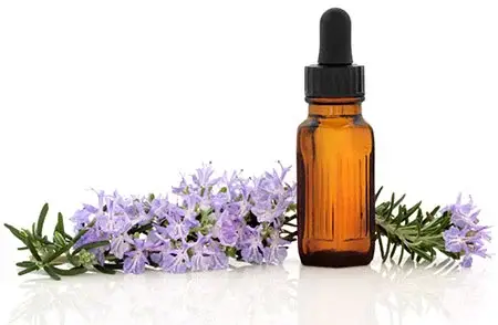 آشنایی با خواص روغن رزماری برای زیبایی