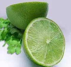 موارد مصرف گیاهان در زیبایی