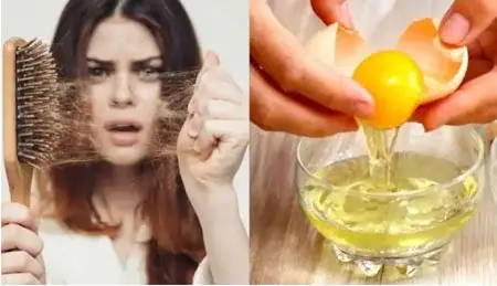 چگونه از تخم مرغ برای رشد مو استفاده کنیم؟