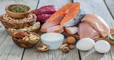 بهترین منابع پروتئین برای کاهش وزن