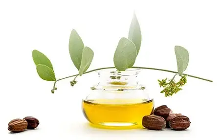 با استفاده از روغن جوجوبا یک محلول ضد چروک بسازید