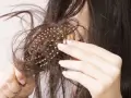 وقتی برس لابه لای موها گیر می کند چه کنیم؟