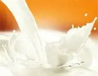 غذاهای مفید برای پوست